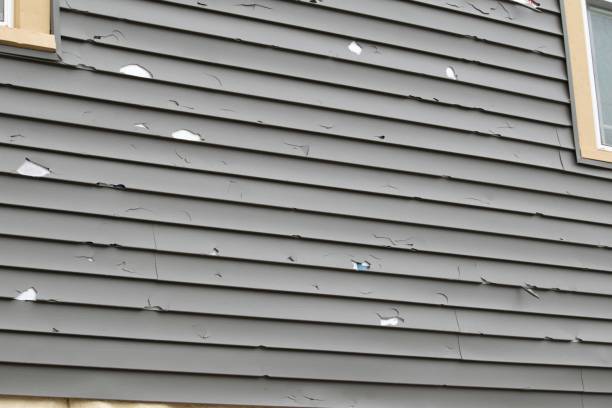 Best Historical Building Siding Restoration  in USA